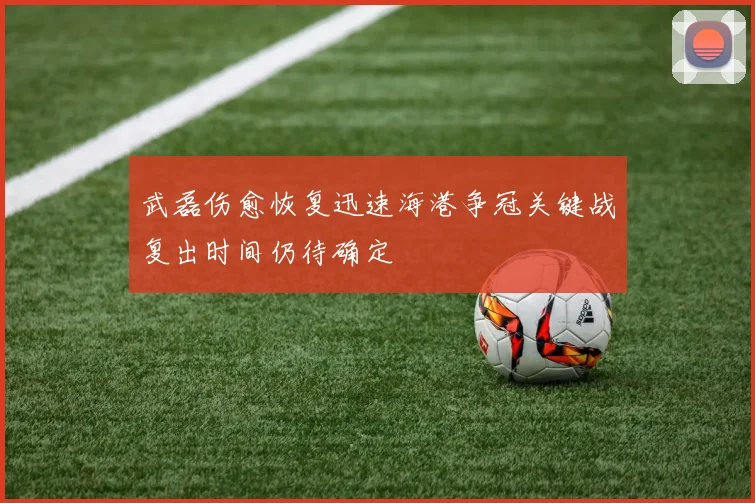 武磊伤愈恢复迅速海港争冠关键战复出时间仍待确定